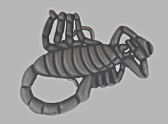 Scorpion Belt Buckle Zodiac Vintage Men Antiqued Brushed Gray Metal Western Gift