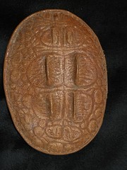 Vintage embossed @ 3×4” Western cowhide “alligator” buckle With Hornback Bumps