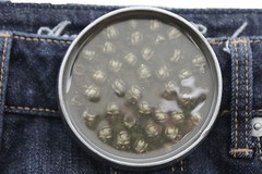 Men Belt Buckle Round 3&Prime; Heavy Metal Dome Skulls Silver Brown Biker Accessory