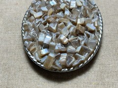 Western Style Belt Buckle Mother of Pearl Inspired Mosaic Oval Interchangeable