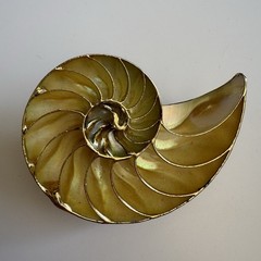 Vintage Nautilus Shell Belt Buckle Brown Gold Tone Coastal Beach