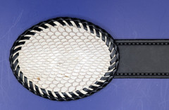 White Cobra Snakeskin Hand laced Belt Buckle made in USA fits 1-1/2&Prime; Belt