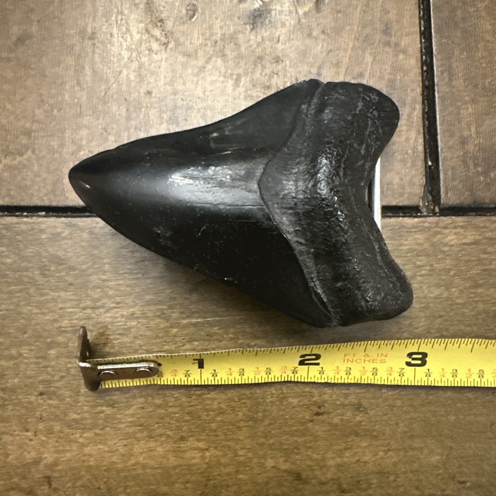 Shark Tooth Shaped belt buckles for men hand made