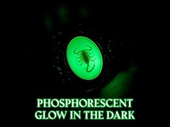 Western Scorpion Belt Buckle Real Scorpion Resin Glow in Dark. For 1.5&Prime; Belt