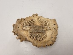 Vintage Elk Antler Belt Buckle With Eagle HD Motorcycle Brand Motif