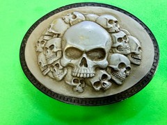 Multiple Skull Head Biker Gothic Punk Vibe Plastic Belt Buckle by Novelty