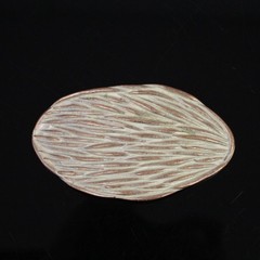 Oval Organic Textured Belt Buckle Belt Buckle Rose Mother of Pearl