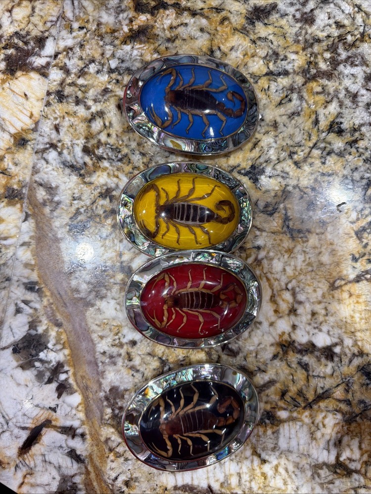 Vintage Mexico Alpaca Silver Belt Buckle w/ Genuine Scorpion Hebilla de Alacrán