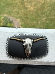 Longhorn Bull Skull Belt Buckle – Antique Brass & Gunmetal Finish