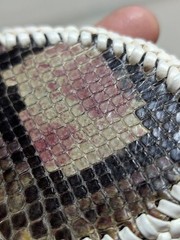 vintage GENUINE SNAKESKIN belt buckle WESTERN handcrafted COWBOY rattler