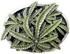 Cannabis Pot Leaf Buds Green & Black Enameled Belt Buckle New
