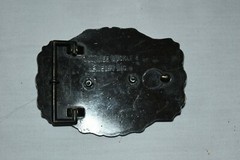 Vintage SOLID Metal RAIN TREE FISHING Colorful BASS BELT BUCKLE EUC