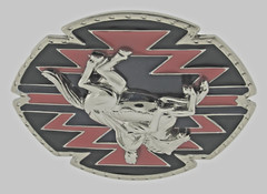 Rodeo Belt Buckles Silver Metal Cowgirl Cowboy Men Women Vintage Texas State Red