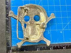Skull Head Crossbones Halloween Biker Gothic Punk Vibe Belt Buckle