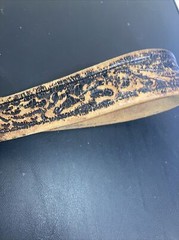 Vintage Belt Buckle Eagle Feathers Gold Resin with belt size 32