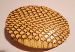 Buckle Snake Genuine Cobra – Vintage 1992 USA