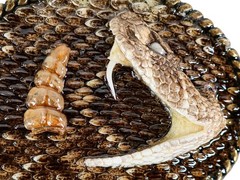 Real Rattlesnake Belt Buckle: Half Head and Rattle (598-BB405)