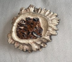 Artisan Deer Antler Belt Buckle Carved Moose Wildlife Rustic Western Hunting