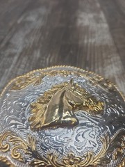 Western Belt Buckle Gold And Silver Colored Horse Head Cowboy Western Wear