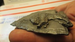 SISKIYOU Buckle Co 1988 Western Arrowhead Buffalo Pewter Belt Buckle Y80 USA