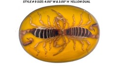 Vintage Real Scorpion Belt Buckle Mexico Encased Western Cowboy Rare Western Men
