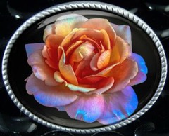 Rose Belt Buckle – Pink Flower Petals Photography Handmade Buckle -759