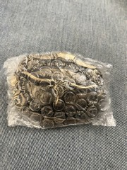 New Aged Gold and Black Western Bull Head Belt Buckle