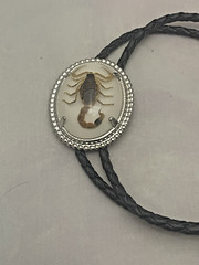 Silver tone Scorpion Belt Buckle and Bolo Set