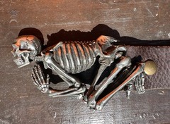 Belt With Skeleton Buckle By Alchemy Gothic