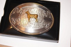 Crumrine Trophy Buckle Oval Gold SHEEP Ribbons Belt Buckle 38678