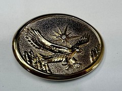 Eagle With Starburst USA Patriotic Belt Buckle Golden Western Bird Wings Cowboy