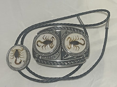 Silver tone Scorpion Belt Buckle and Bolo Set