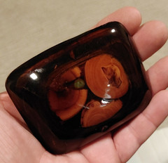 Vintage Wood Polished Resin Belt Buckle Mid Century 1970s 3½ » x 2½ »