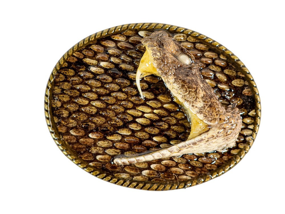 Real Rattlesnake Belt Buckle:1 Head in Oval (598-BB115)