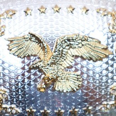 EAGLE Belt Buckle RECTANGLE Rodeo Western LARGE