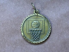 Minnesota Timberwolves NBA BASKETBALL CAMP Metal Medallion Round Hoops Ball