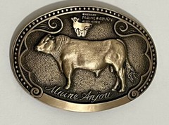 Tony Lama Brass Belt Buckle Maine Anjou Cattle Breed Series 1st Edition NOS
