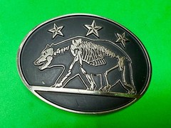 California State Flag Skeleton Grizzly Bear Stars Belt Buckle Chrome 6464