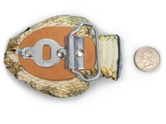Real Rattlesnake Belt Buckle: Full Head (598-BB415-AS)