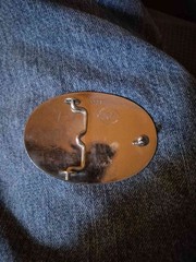 Texas Belt Buckle Silver Gold Tone Western Cowboy Floral Oval