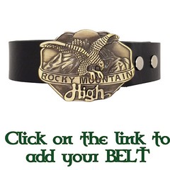 Western Golden Eagle Belt Buckle Biker American Cowboy Rocky Mountain High