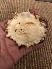 Vintage Elk Horn Belt Buckle Native Art