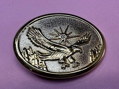 Eagle With Starburst USA Patriotic Belt Buckle Golden Western Bird Wings Cowboy