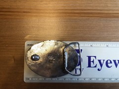 Two Horses Belt Buckle