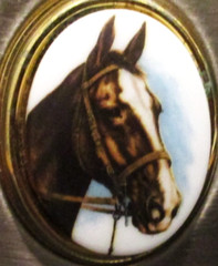 Western Style Horse Metal & Celluloid Belt Buckle Quarter Arabian Thoroughbred