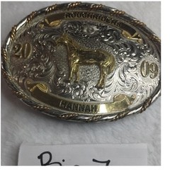 Montana Silversmiths Horse Belt Buckle Roughriders 2009 Hannah Silver Gold Tone