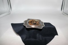 Horse in a Horseshoe Belt Buckle