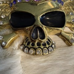 Bling Goldtone Covered Skull Belt Buckle in Clear & Purple Rhinestones