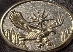 Vintage 80’s gold tone soaring eagle oval cowboy western belt buckle NICE