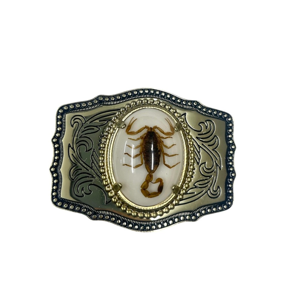 Western Style Real Scorpion Cowboy Cowgirl Rodeo Scorpio Metal Belt Buckles